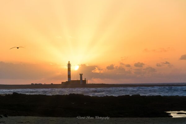 Puesta de sol Cotillo