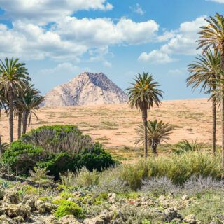 Vistas a Tindaya - Fotografía de Paisaje de Fuerteventura