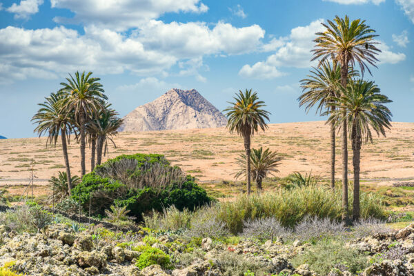 Vistas a Tindaya - Fotografía de Paisaje de Fuerteventura