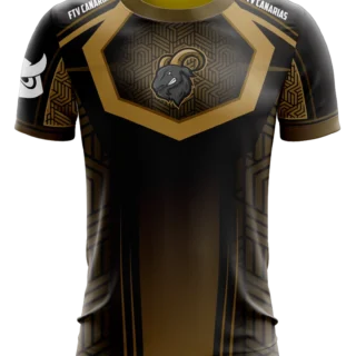 Imagen de la Camiseta Esports FTVCanarias Season 3, edición especial para gamers.